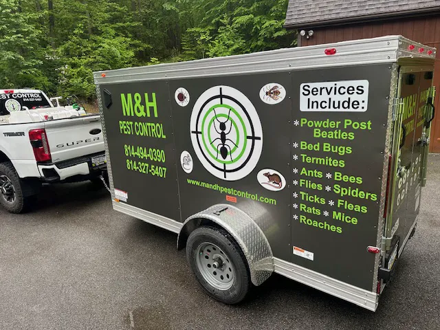 M&H Pest Control Picture 1
