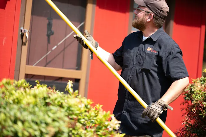 D-Bug Pest Control, Inc. Picture 4