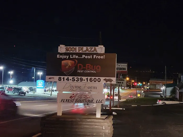 D-Bug Pest Control, Inc. Picture 10