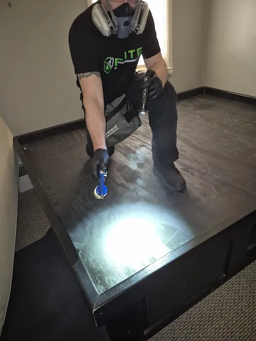 Elite Pest Management LLC Picture 7
