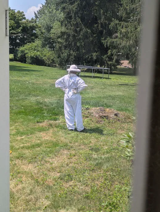 Elite Pest Management LLC Picture 4