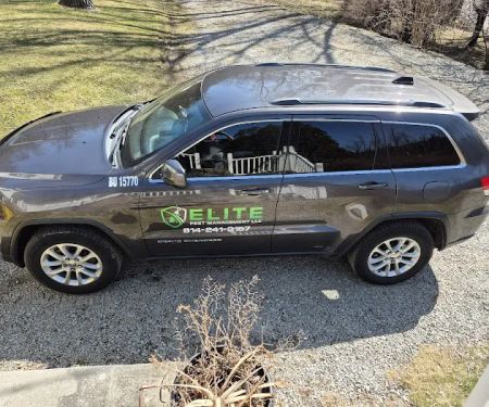 Elite Pest Management LLC