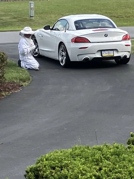 Elite Pest Management LLC Picture 6