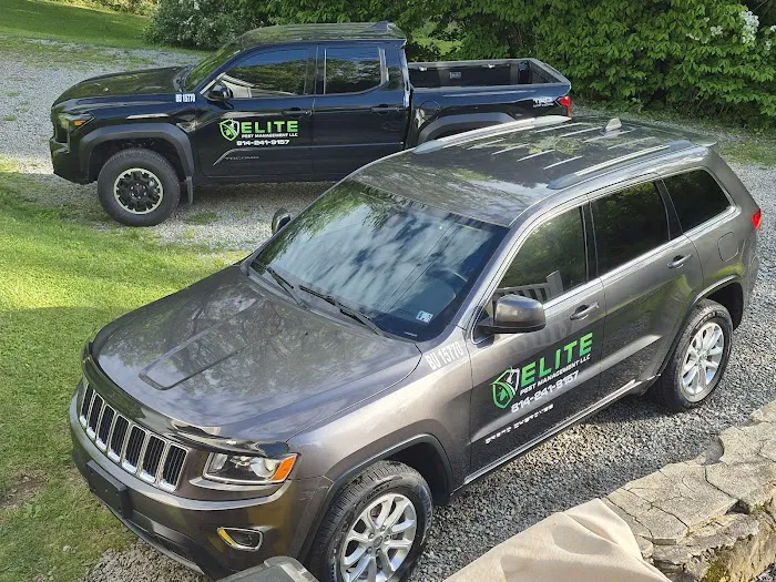 Elite Pest Management LLC Picture 3