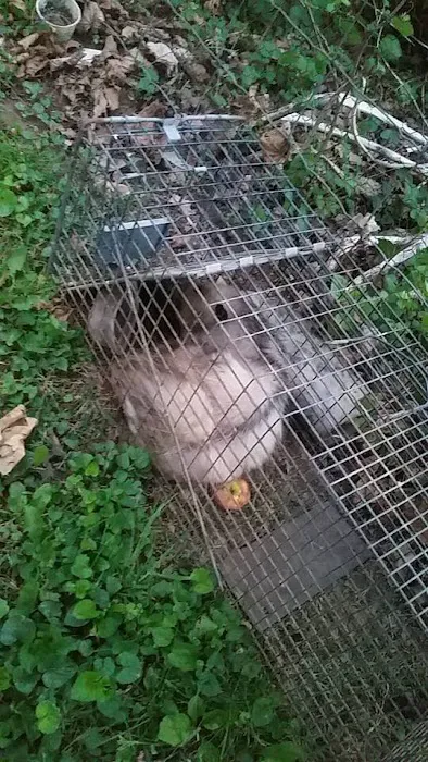 Varmints begone Picture 1