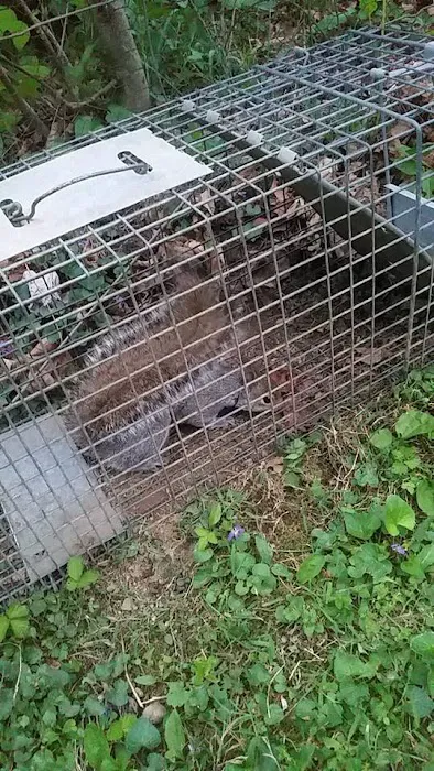 Varmints begone Picture 2