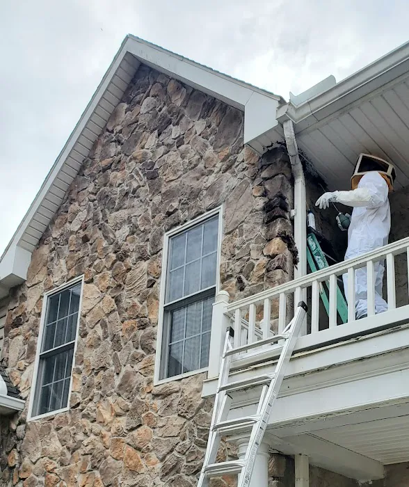 Home Paramount Pest Control Picture 8