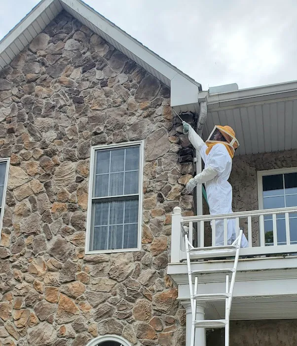 Home Paramount Pest Control Picture 7