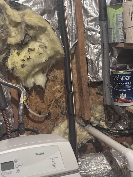 Frontline Pest and Termite of Williamsport Picture 9