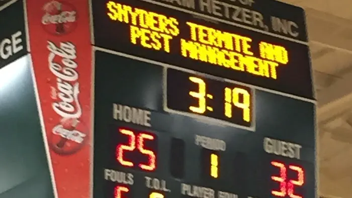 Snyder's Termite & Pest Management, Inc. Picture 1