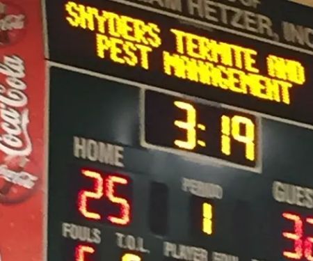Snyder's Termite & Pest Management, Inc.
