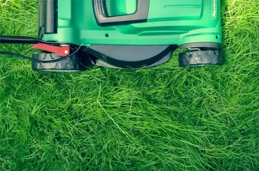Turf Medic LLC Picture 9
