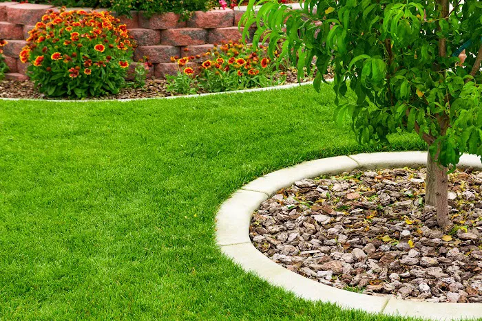 Turf Medic LLC Picture 4