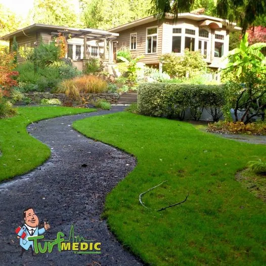 Turf Medic LLC Picture 10