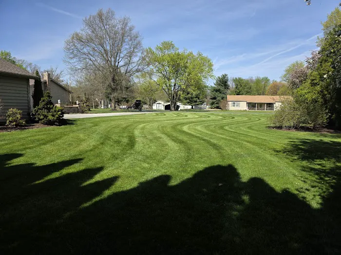 Turf Medic LLC Picture 3
