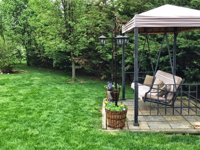 Turf Medic LLC Picture 6