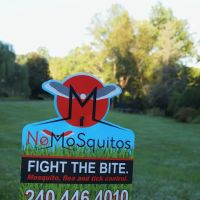 No MoSquitos ico