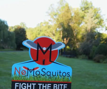 No MoSquitos