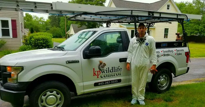K.P. Wildlife Control and Repairs LLC Picture 5