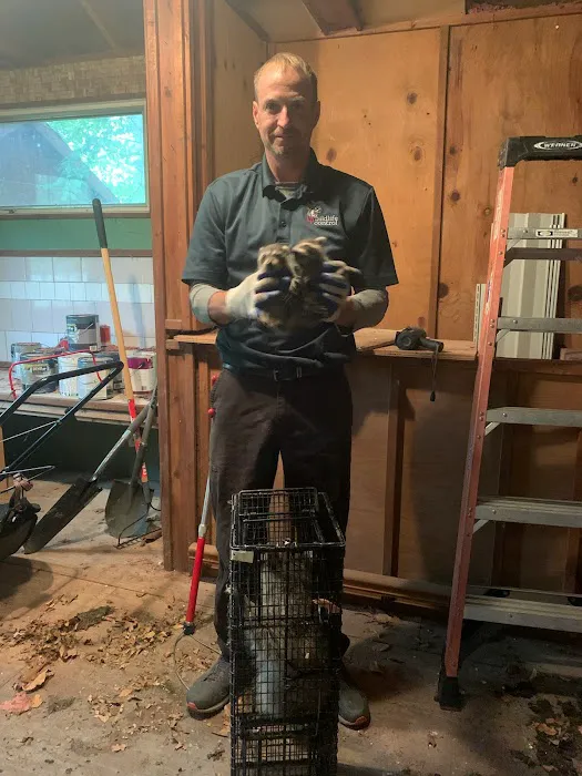 K.P. Wildlife Control and Repairs LLC Picture 8
