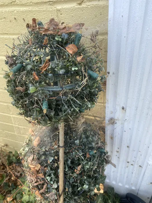 Environmental Pest Control Picture 1