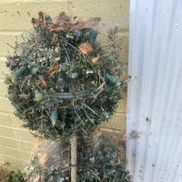 Environmental Pest Control ico