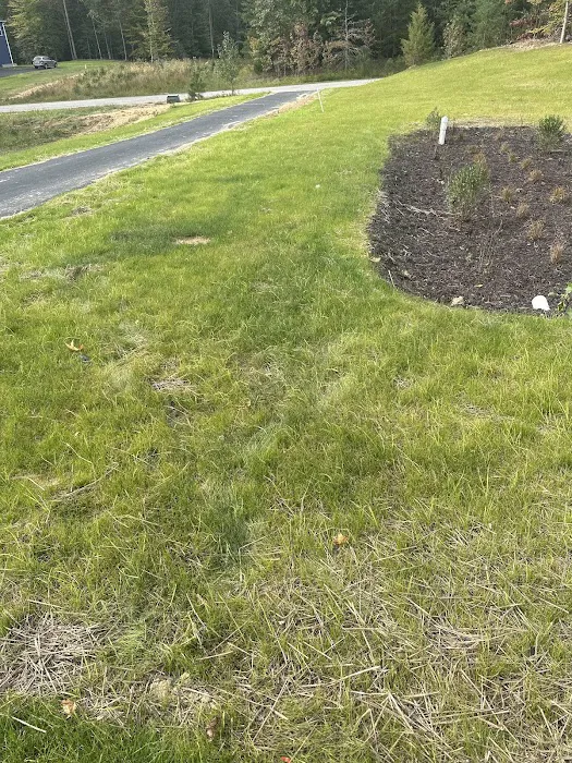 Frontline Pest and Termite of Upper Marlboro Picture 4