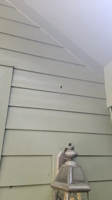 Frontline Pest and Termite of Upper Marlboro Picture 5