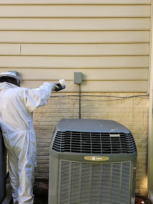 Frontline Pest and Termite of Upper Marlboro Picture 2