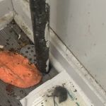 J&T Pest Control LLC