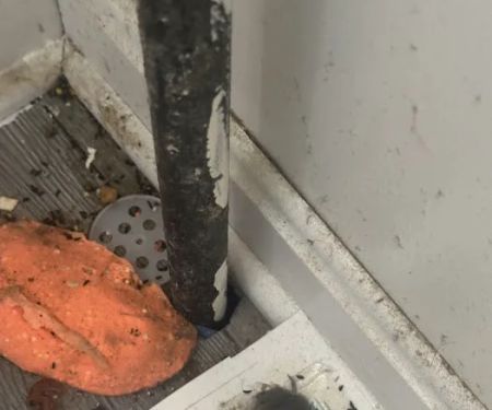 J&T Pest Control LLC