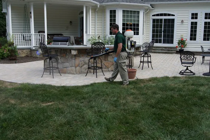 B.O.G. Pest Control Picture 8