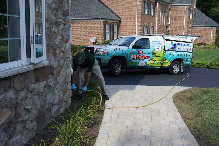 B.O.G. Pest Control Picture 6