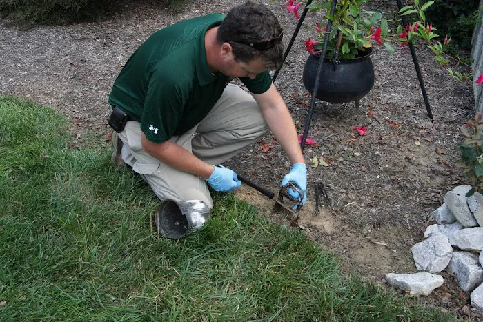 B.O.G. Pest Control Picture 3