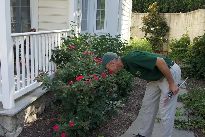 B.O.G. Pest Control Picture 7
