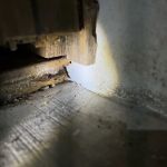 Planet Friendly Pest Control
