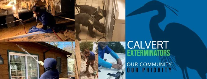 Calvert Exterminators Picture 7