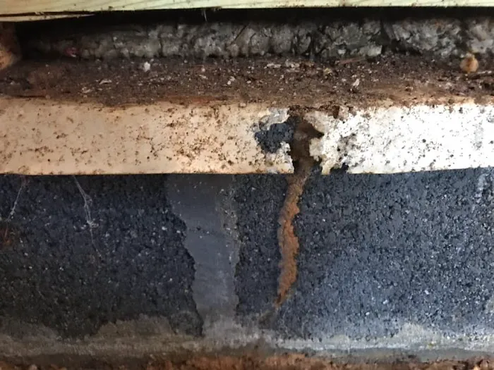 Calvert Exterminators Picture 3