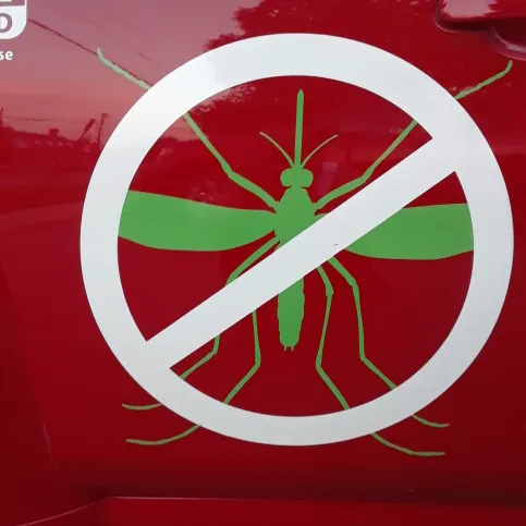 Capitol mosquito of Calvert county Picture 3