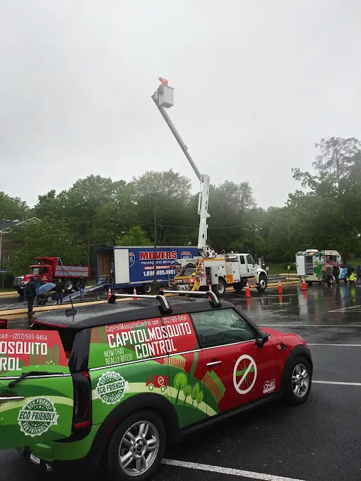 Capitol mosquito of Calvert county Picture 1