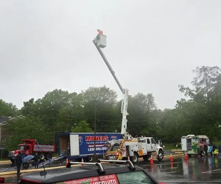 Capitol mosquito of Calvert county