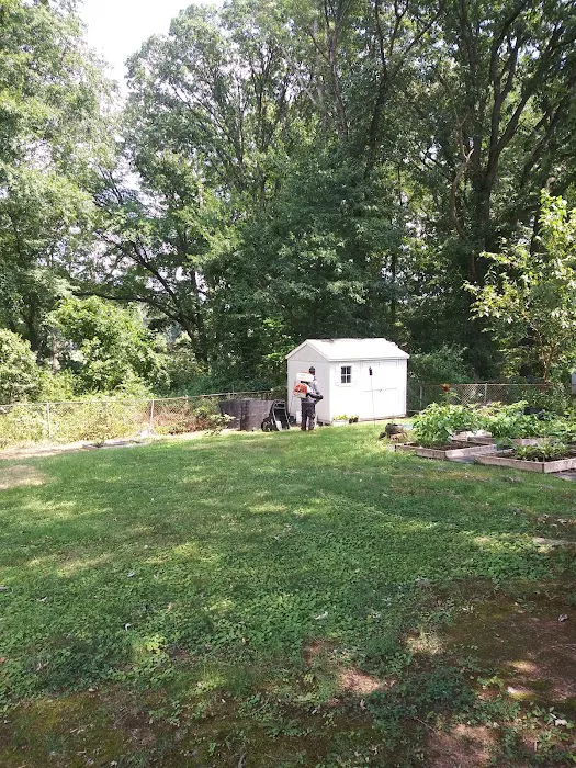 Capitol mosquito of Calvert county Picture 4