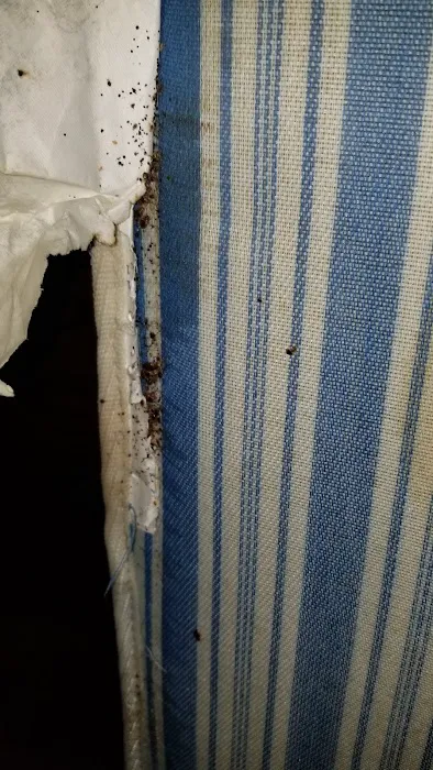 First Gen Pest Solutions LLC Picture 1