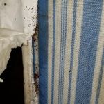 First Gen Pest Solutions LLC