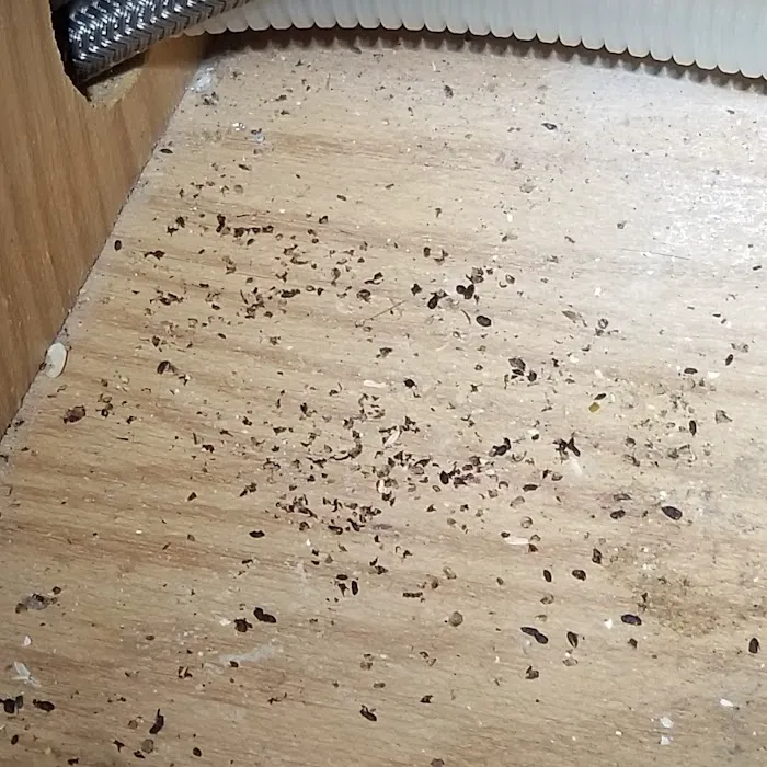 First Gen Pest Solutions LLC Picture 9
