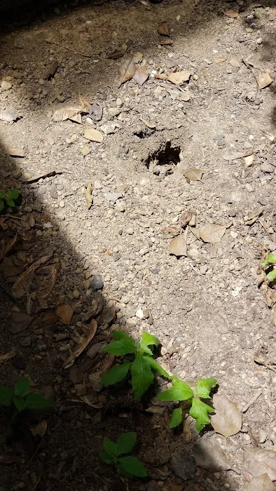 First Gen Pest Solutions LLC Picture 5