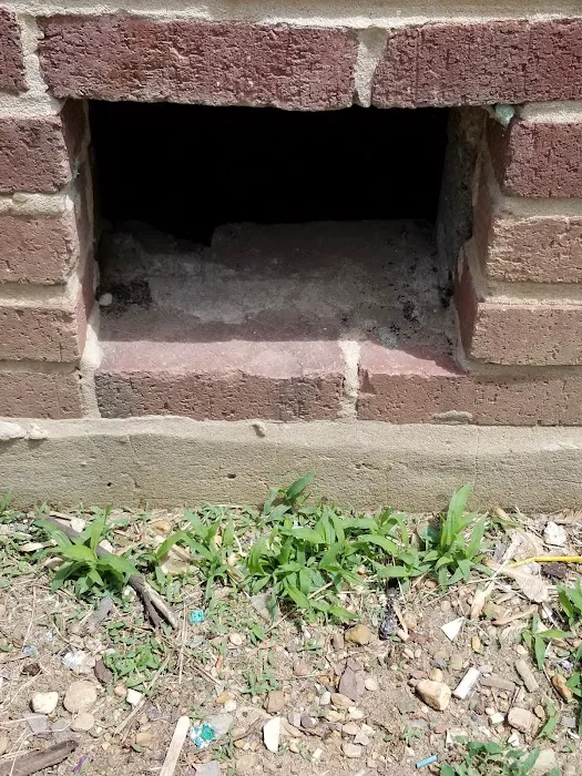 First Gen Pest Solutions LLC Picture 10