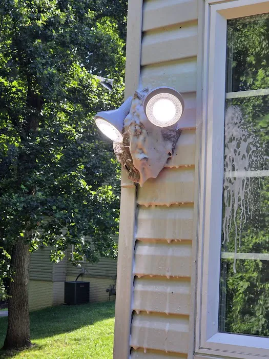 Anton Termite & Pest Control LLC Picture 7