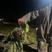 Anton Termite & Pest Control LLC ico
