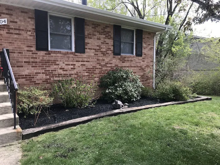 Home Paramount Pest Control Picture 10